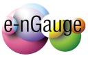 e-nGauge