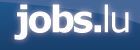The Network - Jobs.lu logo
